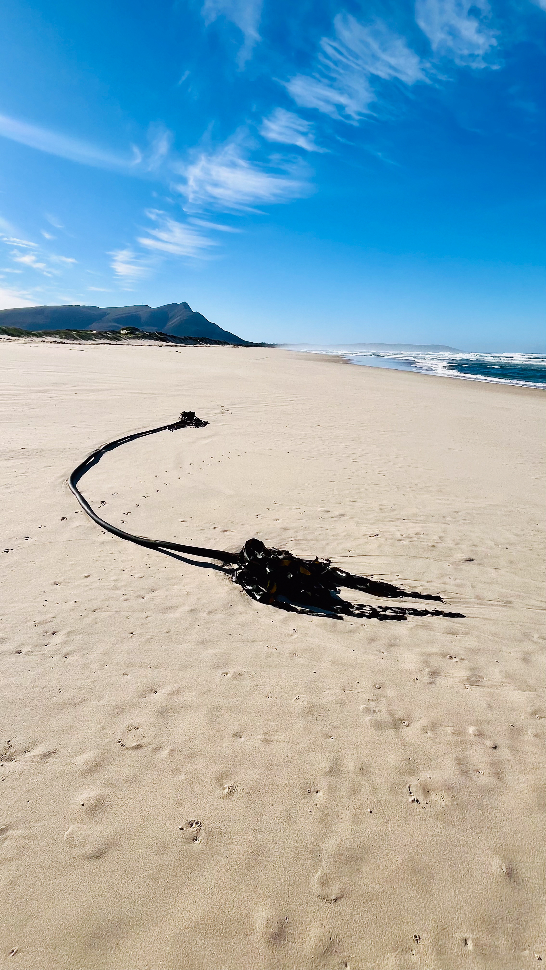 Empty white-sand beach near Hermanus with mountains rising above the shore — typical of the coast walks accessible from MBIZI lagoon house